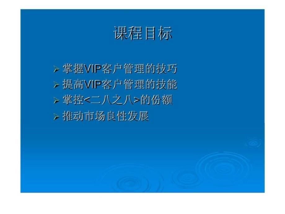 VIP客户管理技术_第5页