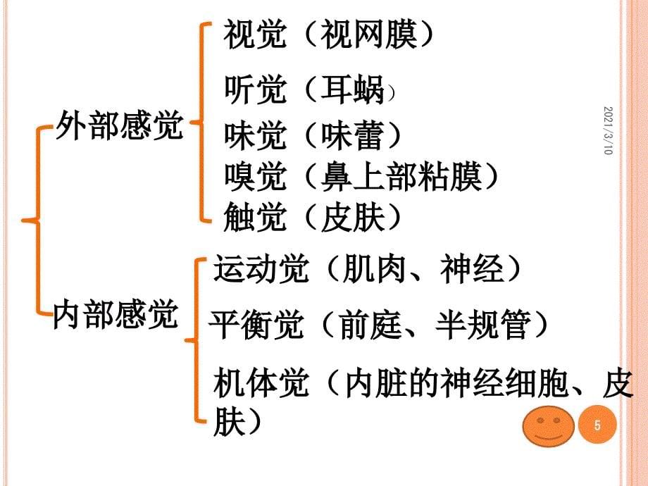 第二章-学前儿童感知觉的发展_第5页