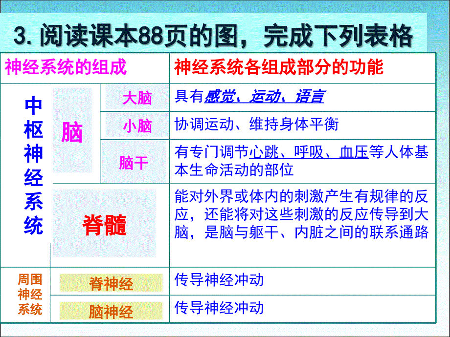 人教版七年级下册生物（新）第六章人体生命活动的调节第二节《神经系统的组成》_第4页