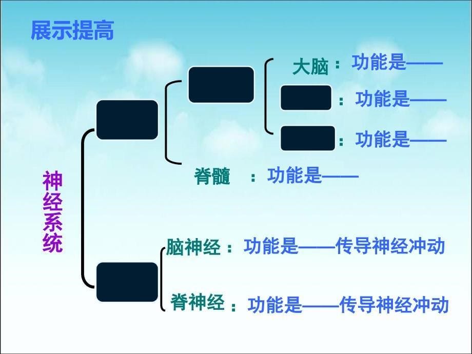 人教版七年级下册生物（新）第六章人体生命活动的调节第二节《神经系统的组成》_第5页