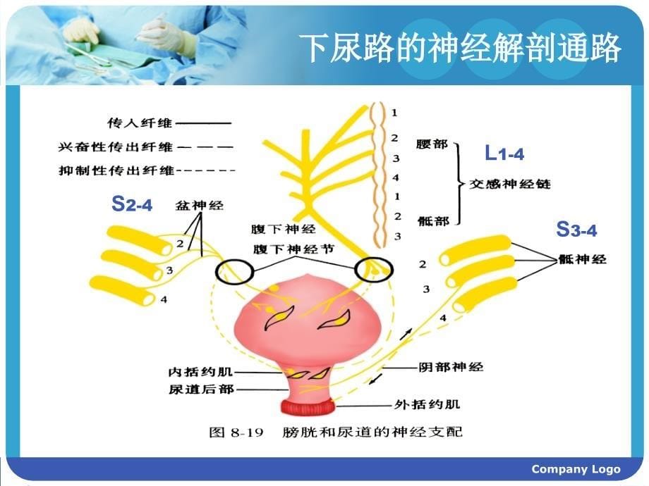 脊髓损伤患者的膀胱功能康复护理_第5页