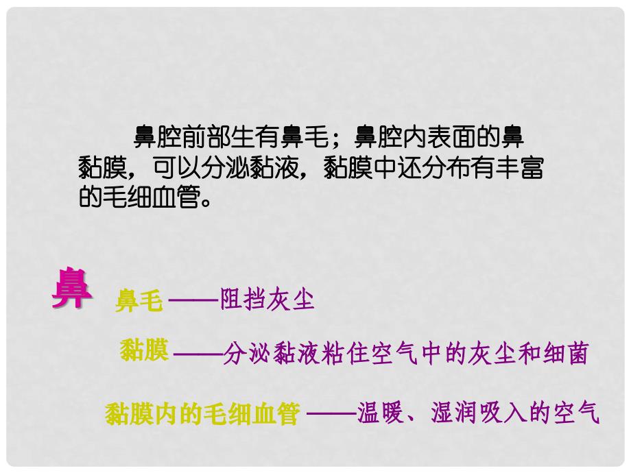 七年级生物下册 第10章 第二节 人体细胞获得氧气的过程课件1 北师大版_第4页