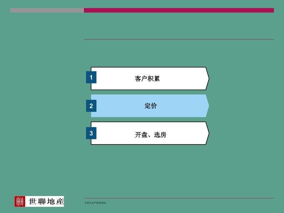 开盘筹备与销售执行培训ppt课件_第5页