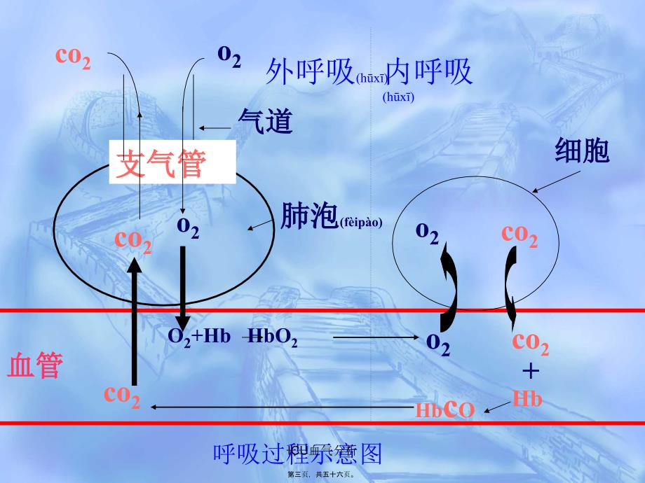 ICU血气分析课件_第3页