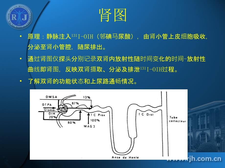 核医学教学课件：肾功能、肾显像_第3页