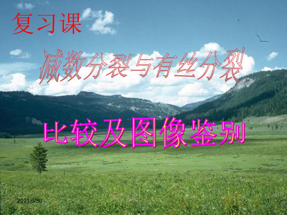 减数分裂图解精选_第1页