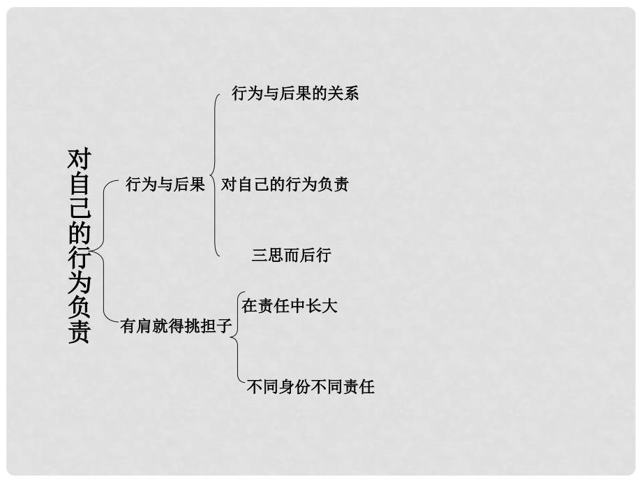 九年级政治 对自己行为负责复习课件 苏教版_第2页