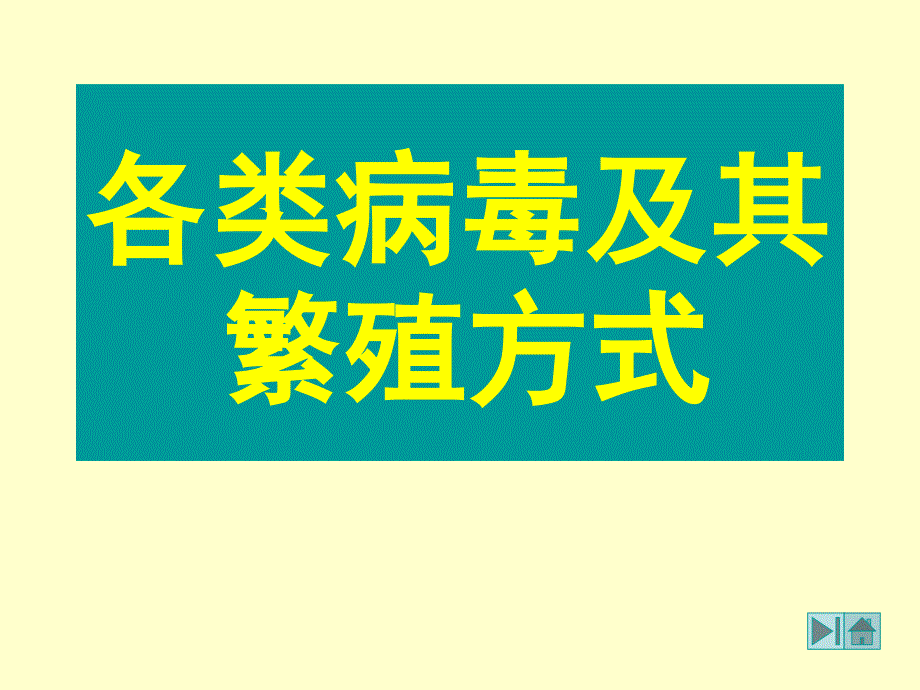 各类病毒及其繁殖方式_第1页