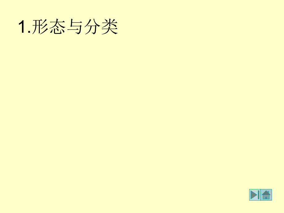 各类病毒及其繁殖方式_第3页