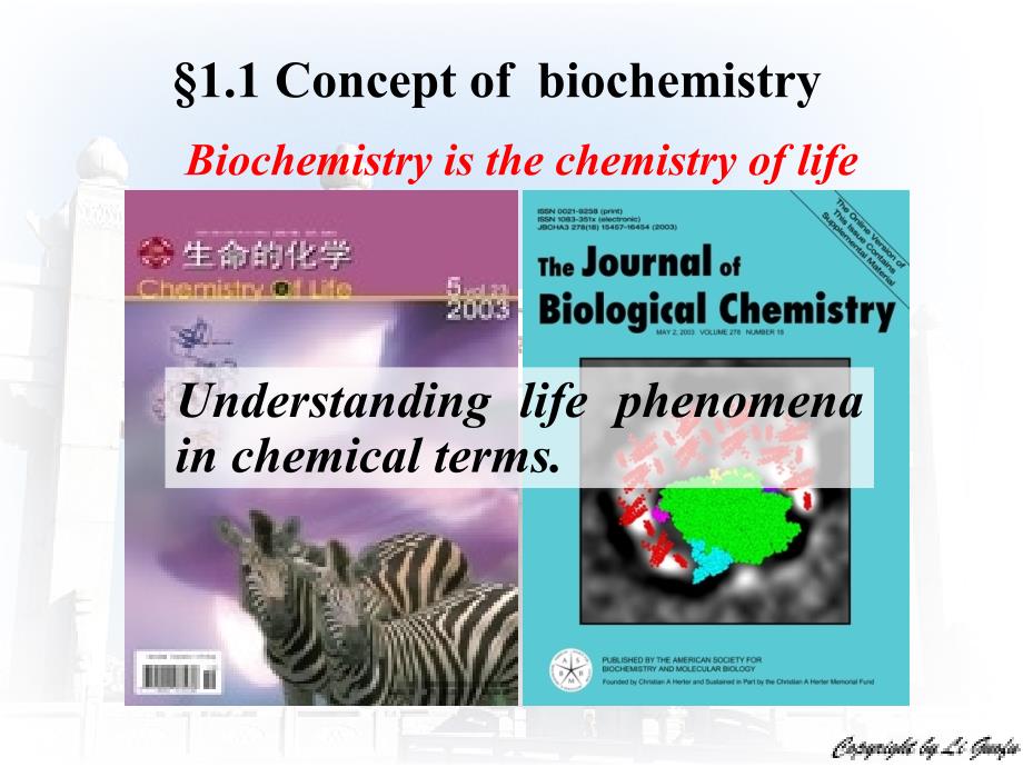 生物化学课件：02 Introduction_第4页