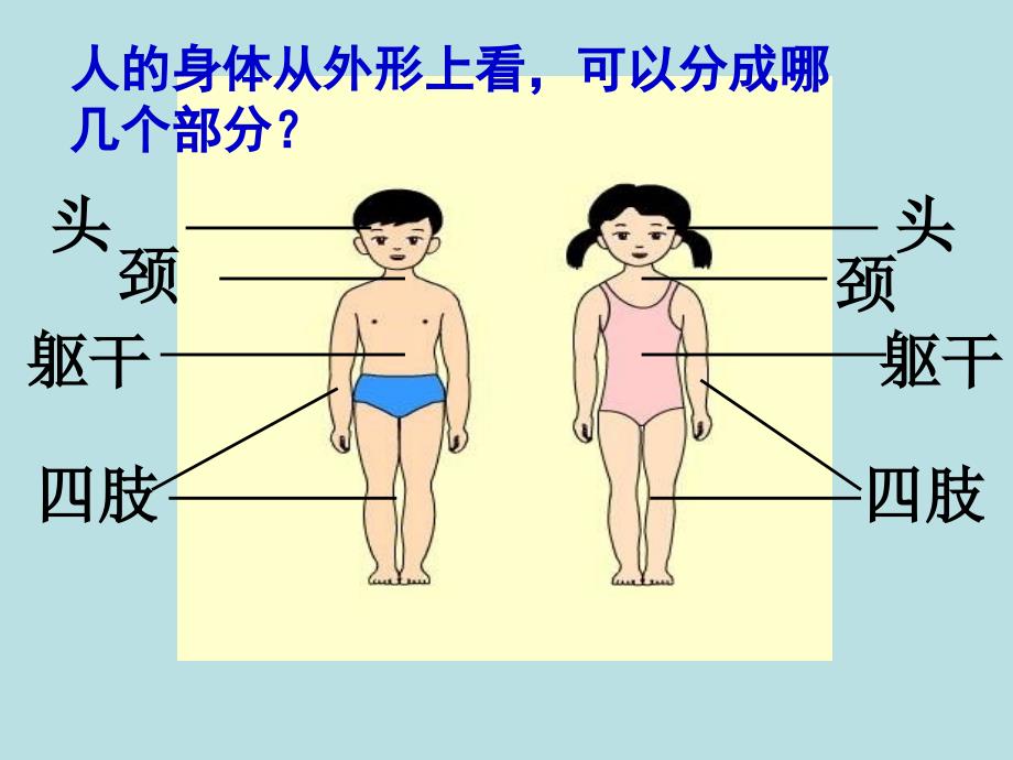 1身体的警戒线_第2页