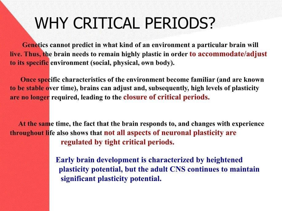 Critical amp; Sensitive PeriodsKSU：临界amp；敏感期KSU_第5页