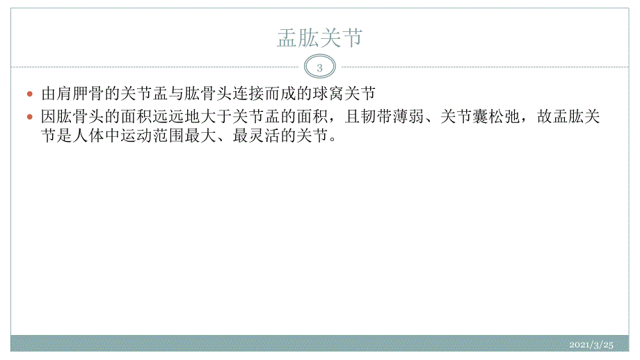 肩关节运动解剖PPT课件_第3页