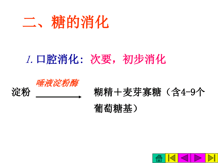 《吸收与酵解》PPT课件.ppt_第4页