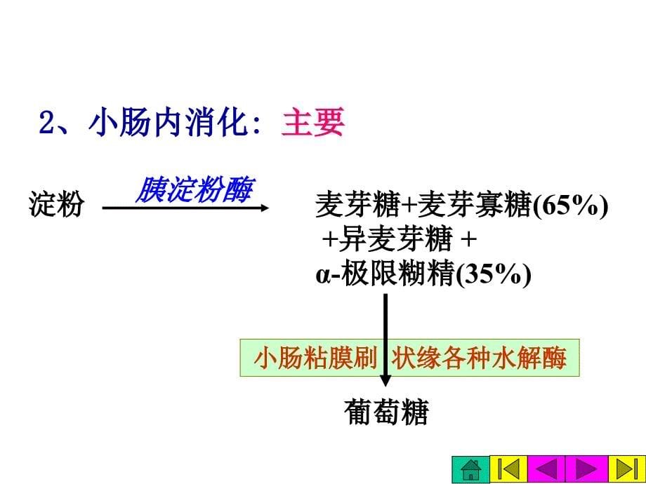 《吸收与酵解》PPT课件.ppt_第5页