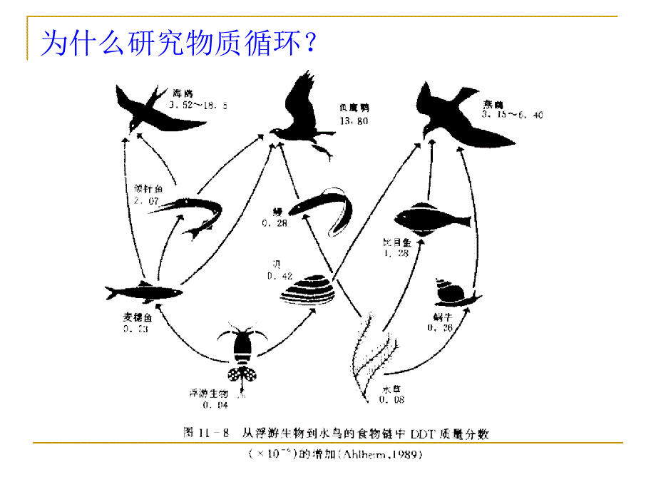 植物生态学生态系统4物质循环_第3页