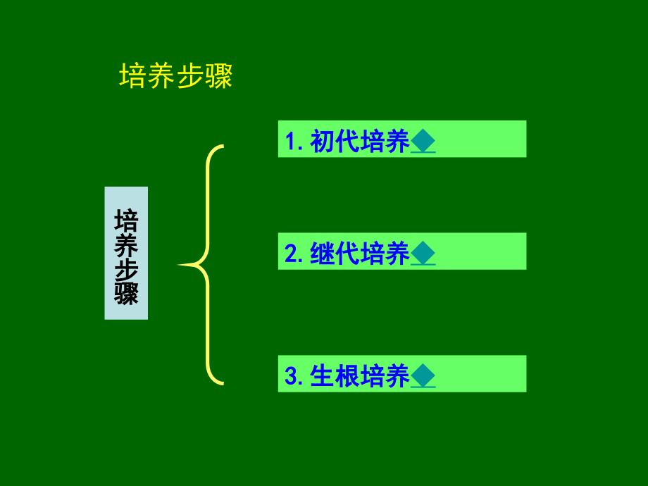 愈伤组织的培养_第2页