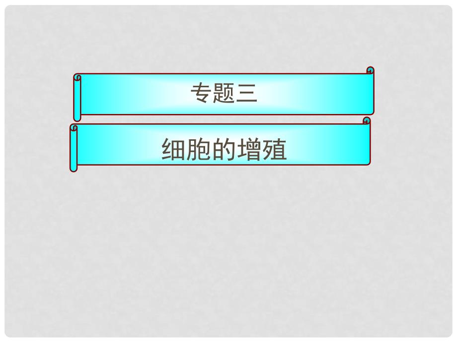 辽宁省沈阳市第二十一中学高一生物《有丝减数》课件 新人教版_第1页