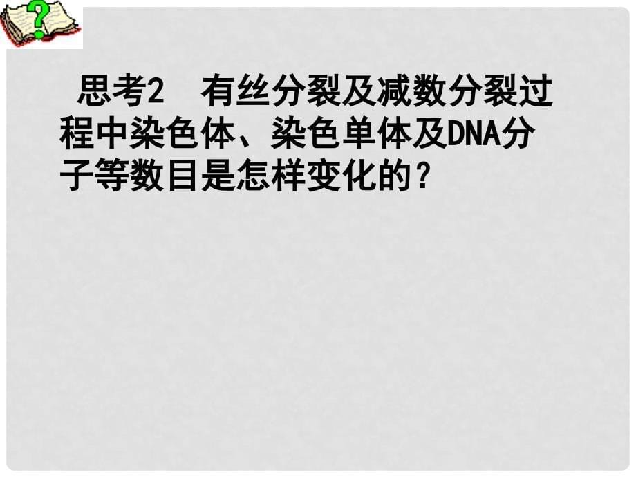 辽宁省沈阳市第二十一中学高一生物《有丝减数》课件 新人教版_第5页