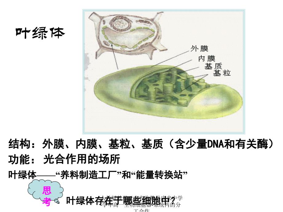 人教版教学云南省弥勒县庆来中学-学年高一生物细胞器-系统内的分工合作课件_第4页