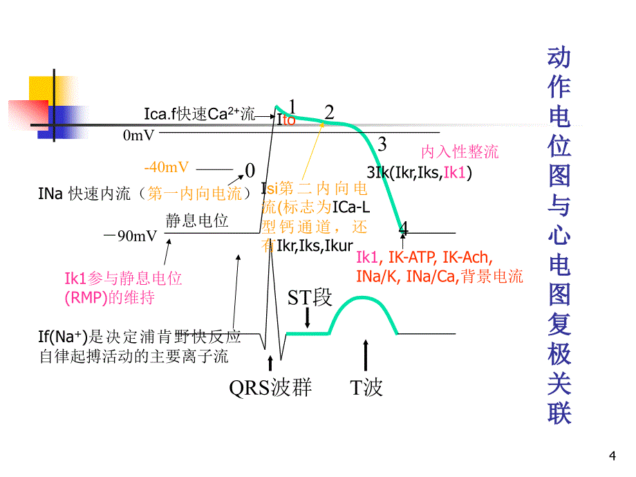 离子通道病研究进展_第4页