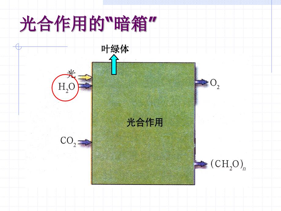 光合作用的探究历程_第4页