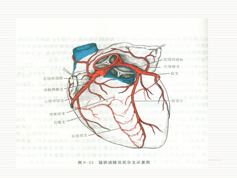 第二十二章-抗心绞痛药课件_第4页