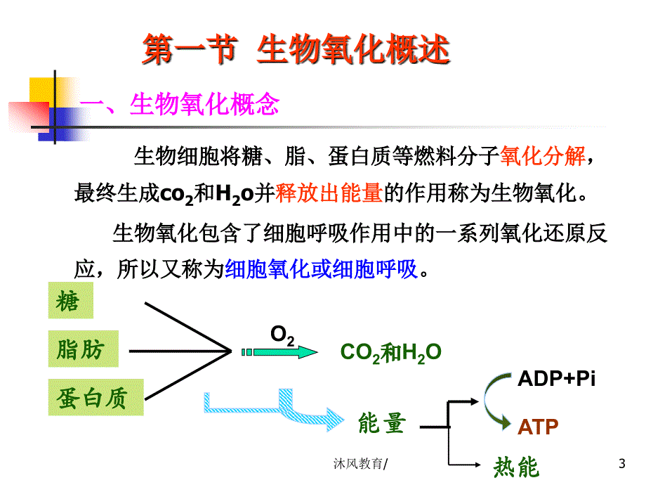 生物化学ppt第六章生物氧化【谷风教学】_第3页