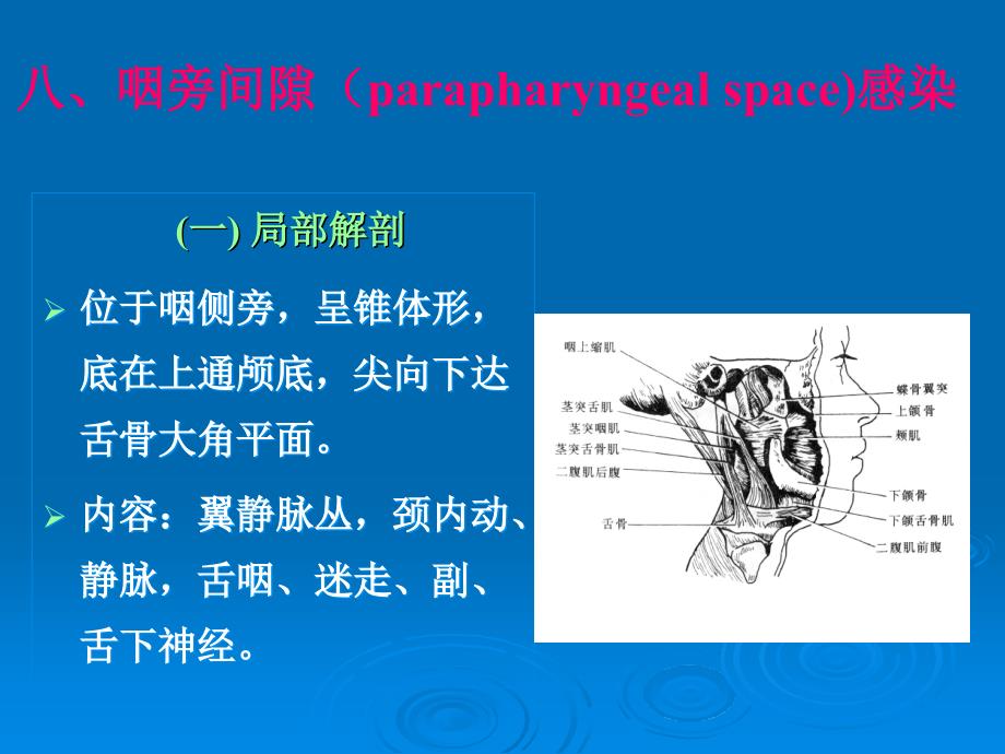 八咽旁间隙parapharyngealspace感染_第1页