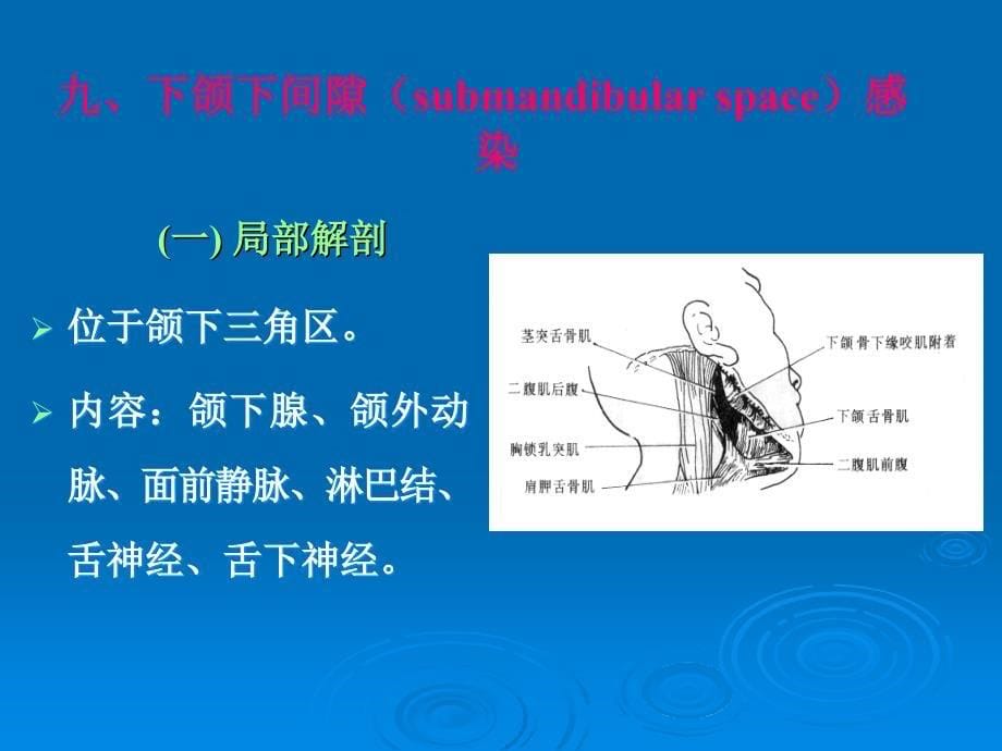 八咽旁间隙parapharyngealspace感染_第5页