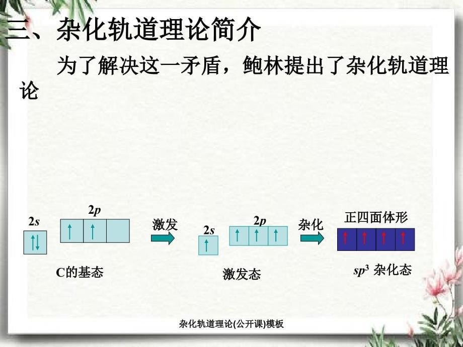 杂化轨道理论公开课模板_第5页