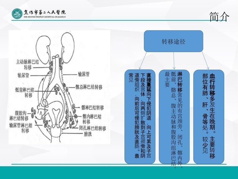 宫颈癌手术配合及注意事项_第5页