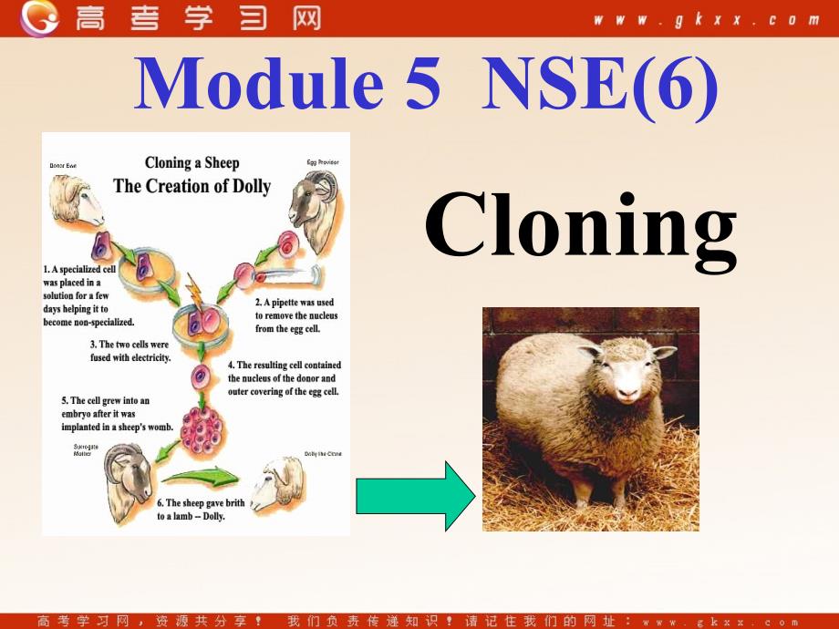 Module 5《Cloning》introduction,reading and voca课件2（13张PPT）（外研版选修6）_第1页