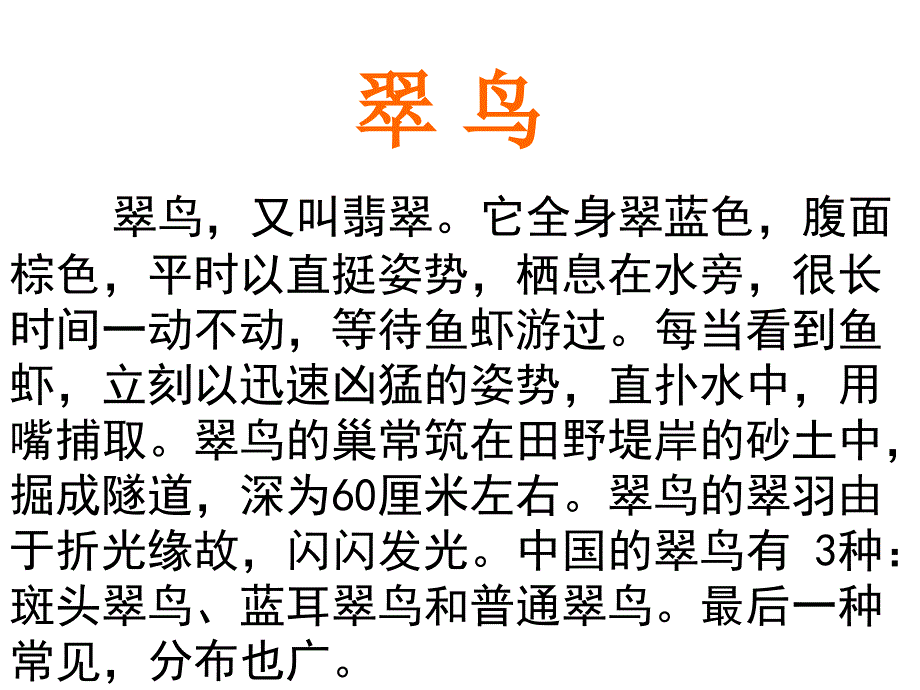 5《翠鸟》课件_第2页