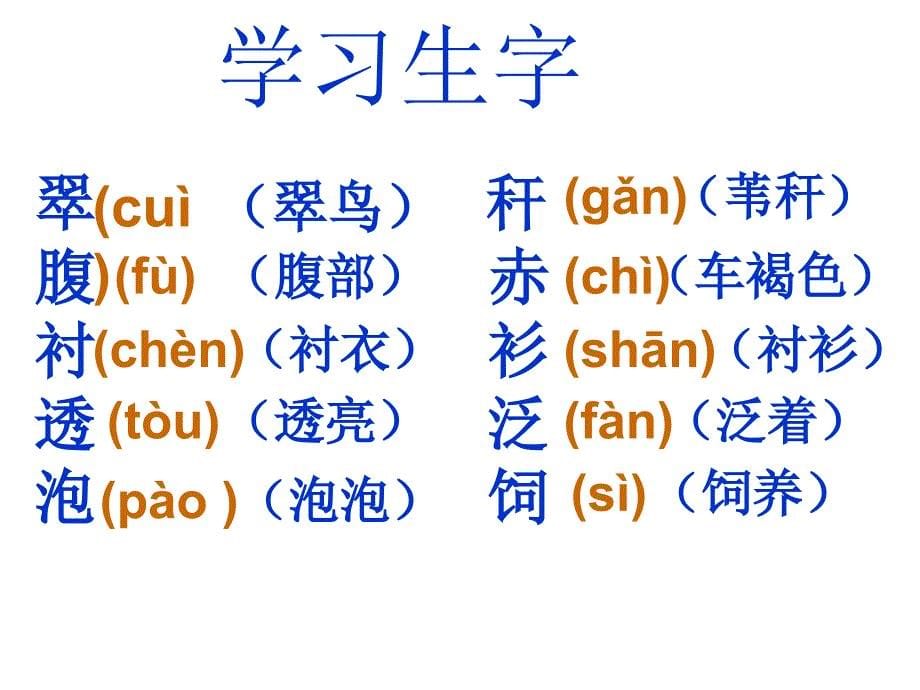 5《翠鸟》课件_第5页