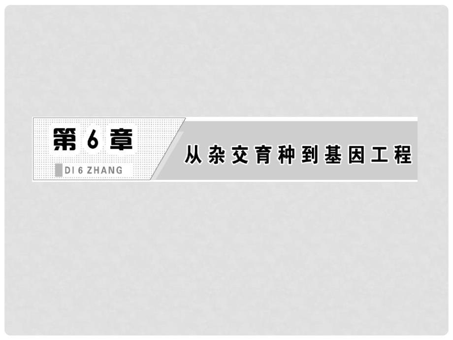 高中生物 6.2基因工程及其应用课件6_第2页