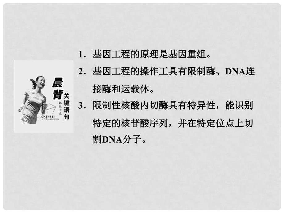 高中生物 6.2基因工程及其应用课件6_第4页