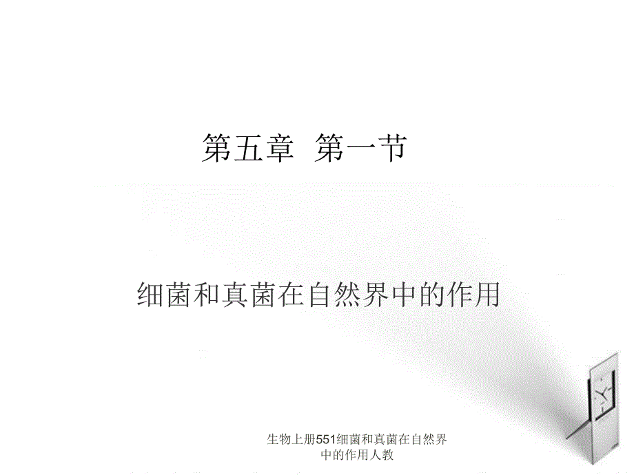 生物上册551细菌和真菌在自然界中的作用人教课件_第2页