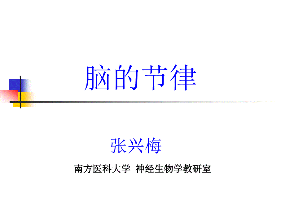 脑的节律、性与脑ppt课件_第1页