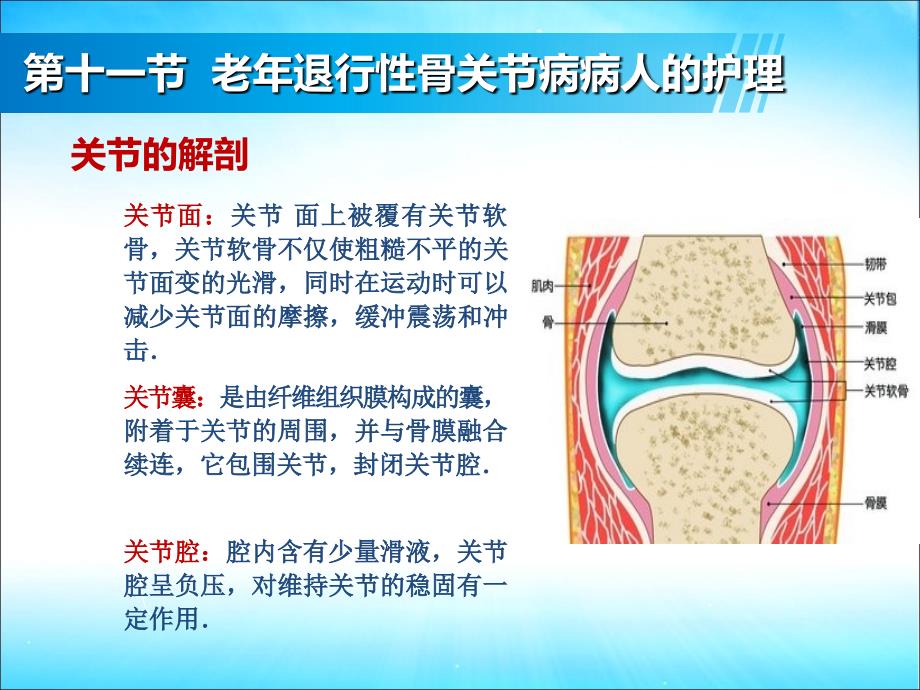 管理学第9章老年人常见疾病与护理1113节课件_第4页