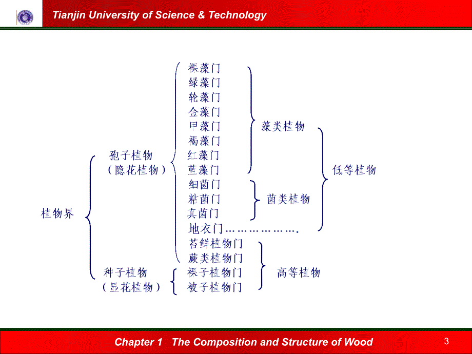 造纸植物纤维原料概述_第3页