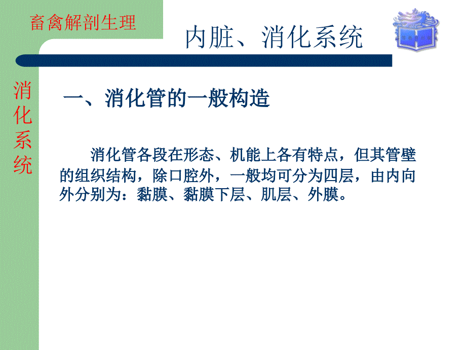 畜禽解剖生理内脏消化系统课堂PPT_第2页