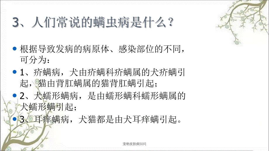 宠物皮肤病50问课件_第4页