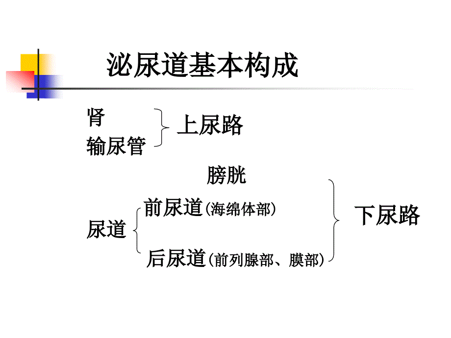 血尿水肿意识障碍.ppt_第3页