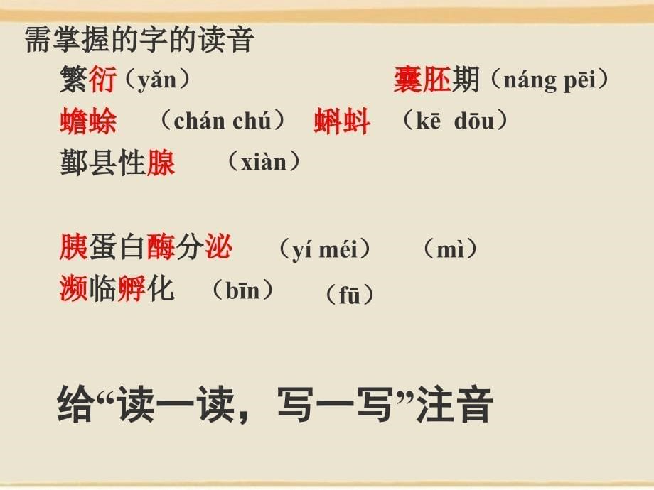 假如你是足球迷你肯定希望世上再多一个罗纳尔假如_第5页