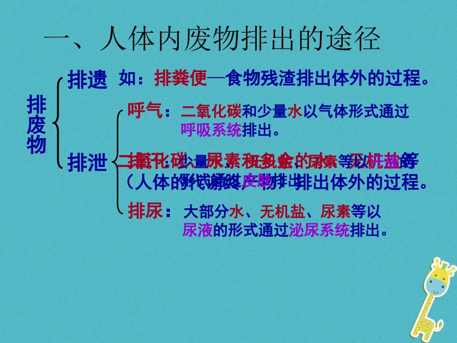 七年级生物下册第四单元第五章人体内废物的排出课件1新版新人教版_第2页