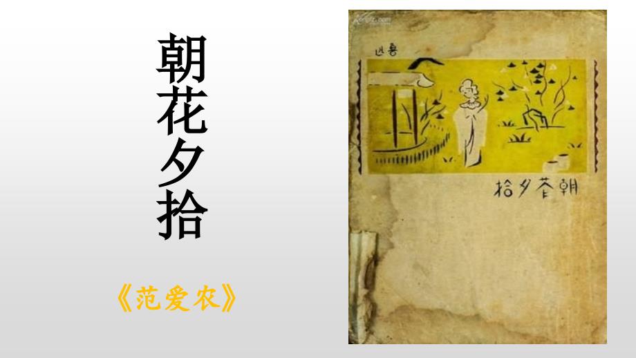 初中整本书阅读系列之《朝花夕拾》《范爱农》PPT课件_第1页