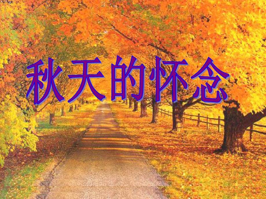 七年级语文上册12天的怀念课件新版新人教版_第1页