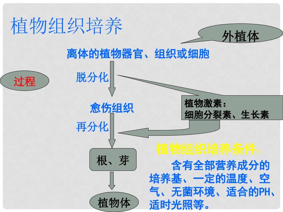 高中生物： 1.1.2 育种技术（课件 ）苏教版选修2_第2页