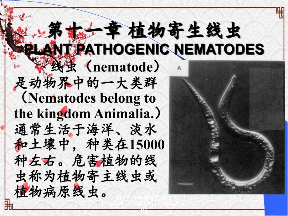 第十一章植物寄生线虫PLANTPATHOGENICNEMATODES_第1页